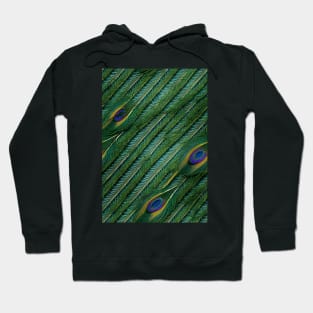 Beautiful colorful Peacock feather pattern - perfect for birdlovers #2 Hoodie